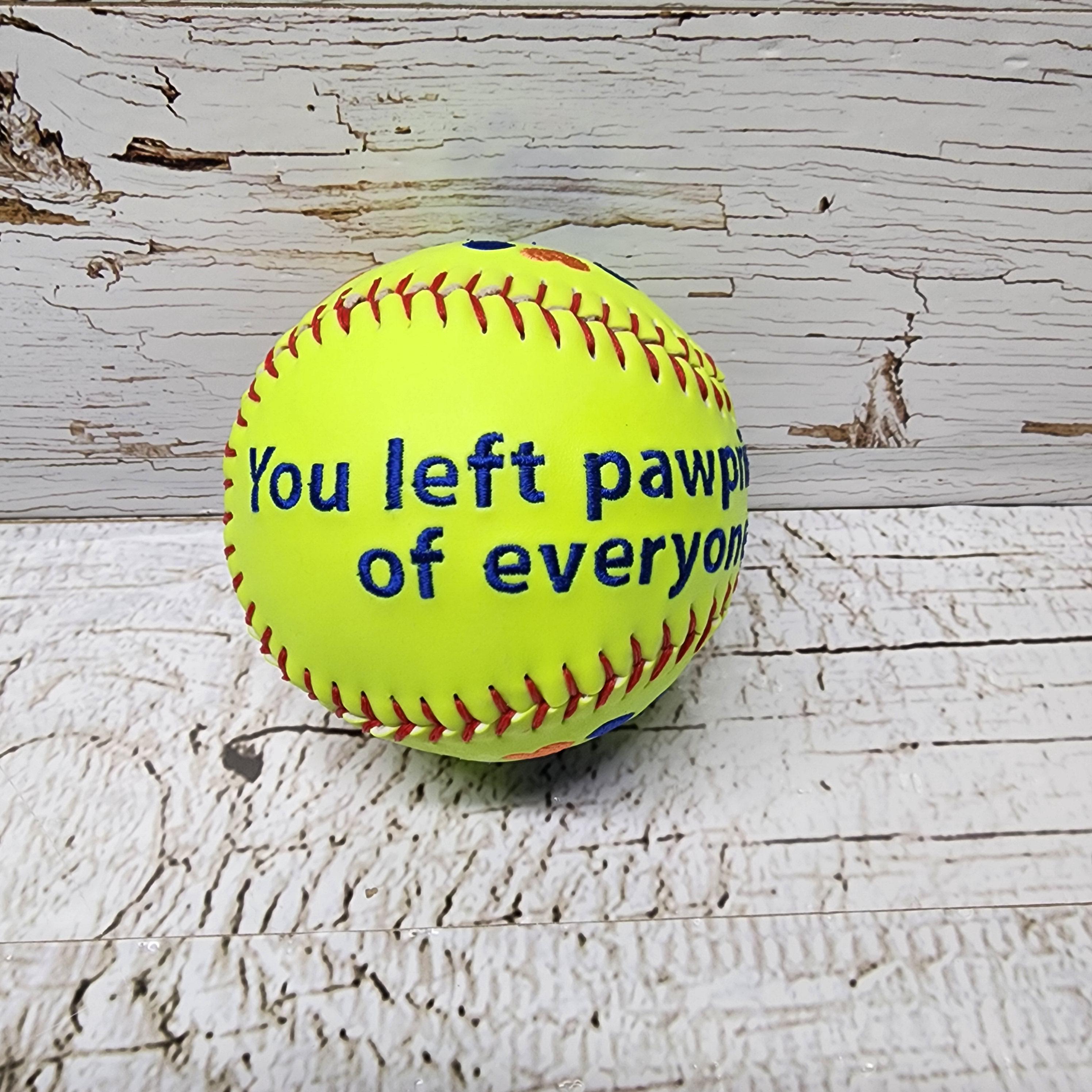 Embroidered Pet Memorial Baseball - Personalized Dog Remembrance Keepsake