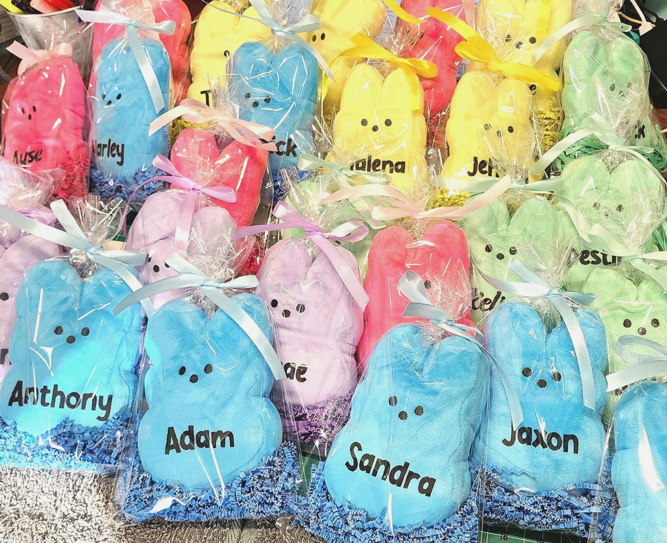 Personalized Plush Bunny, Custom Name, Easter Basket Toy