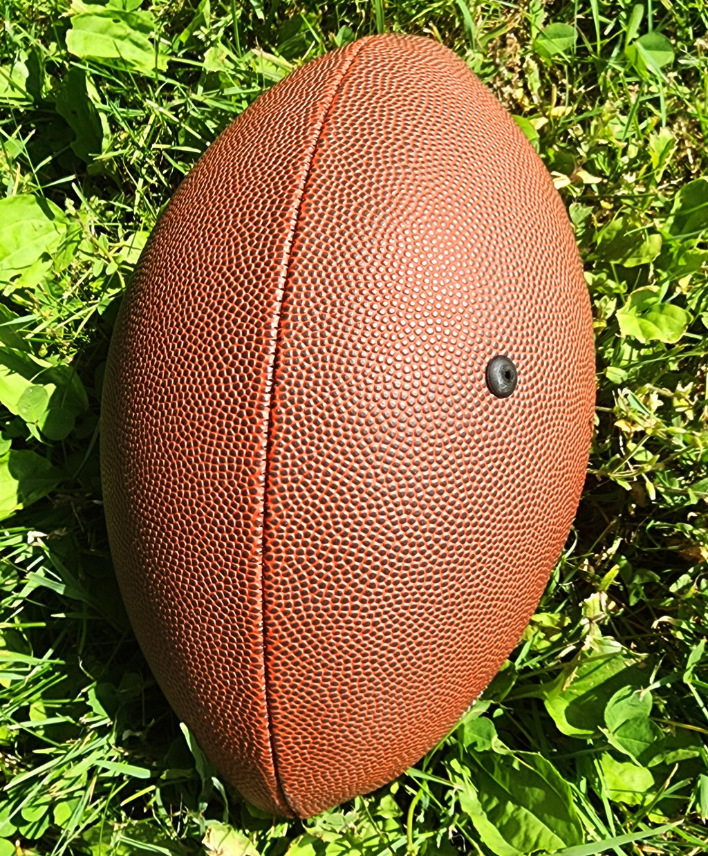 Remembrance Memorial Football Gift//Custom Personalized Embroidered Football // football Gift// Keepsake ball // Family gift// Memorabilia