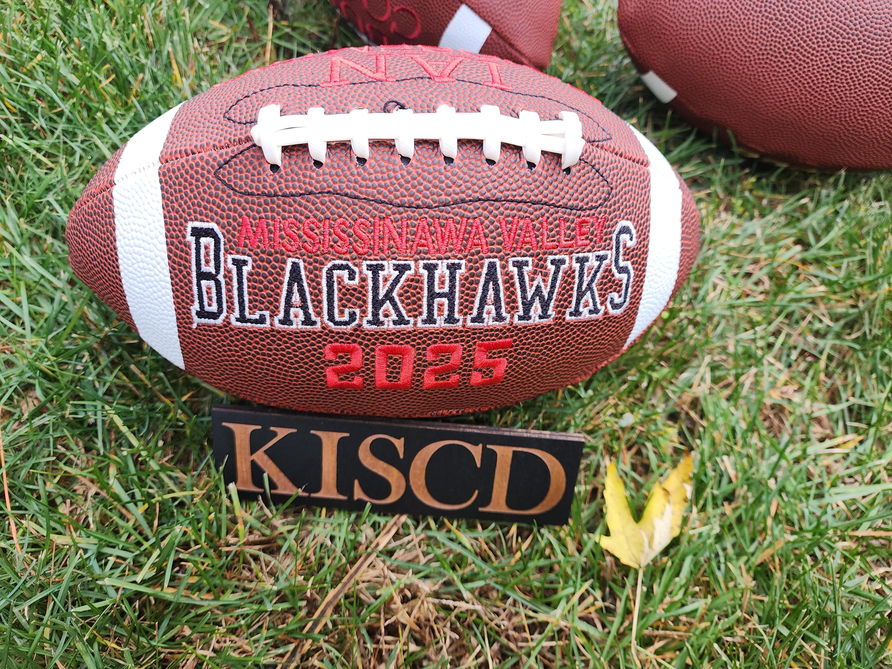 Senior  Football gift//Custom Personalized Embroidered Football//Football Gift//Keepsake ball//Graduation Gift//Class of 2025//Class of 2026